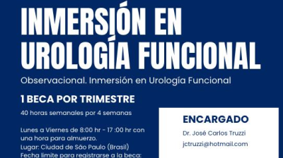 CLASES INMERSIÓN EN UROLOGÍA FUNCIONAL